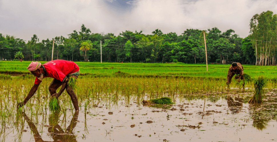 One of the costs of climate change inaction? Slavery