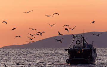 A survivor and whistleblower on slavery at sea but still facing deportation