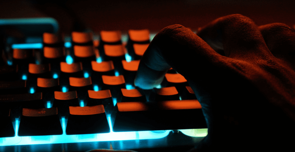 Report finds Cambodian Government deliberately ignoring scamming compounds