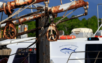 Tuna giant accused of putting corporate interests over human dignity