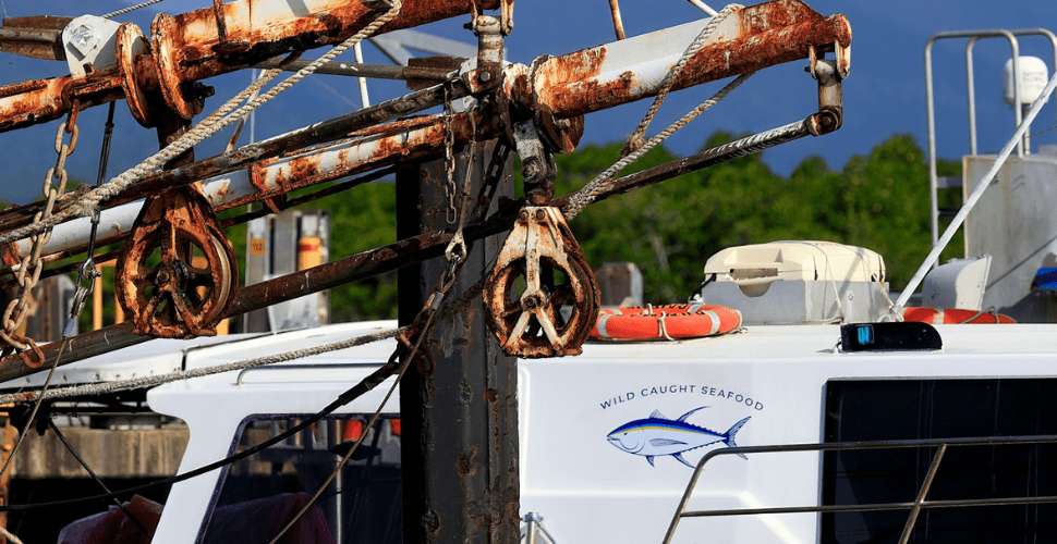 Tuna giant accused of putting corporate interests over human dignity