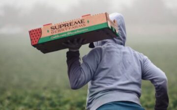 Stopping traffickers before they strike- can California do it?