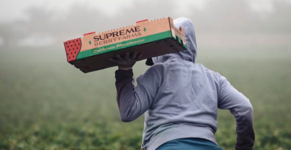 Stopping traffickers before they strike- can California do it?