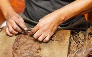 Forced prison labor linked to Cuban cigars