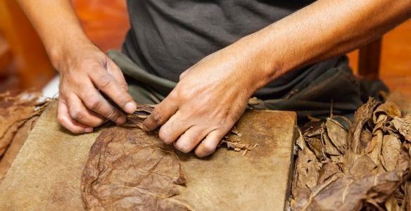 Forced prison labor linked to Cuban cigars