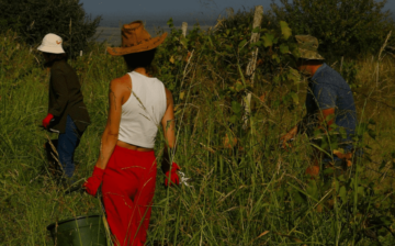 Passage of ground-breaking California law celebrated as historic win