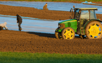 Wage crushing and created scarcity, temporary worker policies reek of exploitation