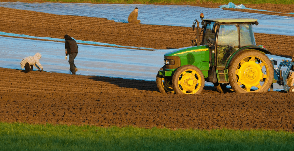 Wage crushing and created scarcity, temporary worker policies reek of exploitation