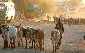 Instead of safety, Tigrayans returning to abuse and exploitation