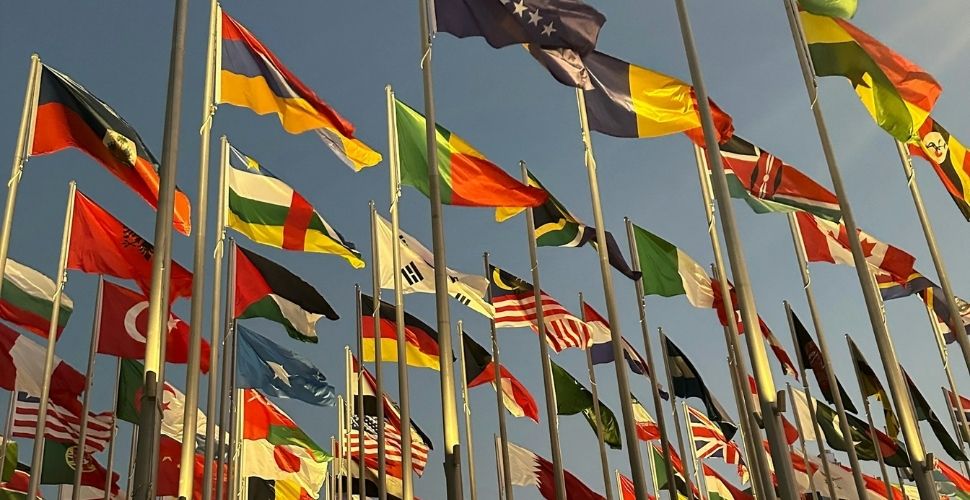 Push to narrow scope of treaty poses “significant danger” to human rights law