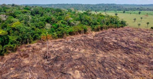 How a modern slavery crisis is a part of the deforestation crisis happening in Brazil