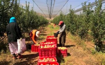 Critics slam UK government’s refusal to reform migrant worker visa scheme as “a callous lack of care”: