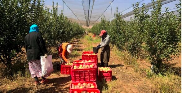 Critics slam UK government’s refusal to reform migrant worker visa scheme as “a callous lack of care”: