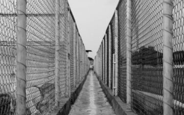 Reports of abuse and use of force surge in immigrant detention as watchdog org shuts down