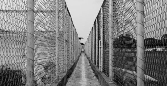 Reports of abuse and use of force surge in immigrant detention as watchdog org shuts down