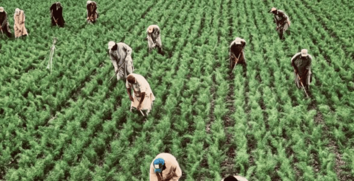 Arkansas prison and former plantation found still using slave labor